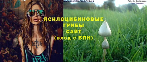дурь Арсеньев