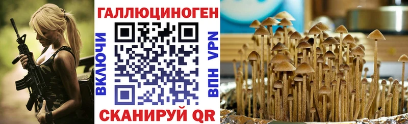 shop наркотические препараты  ссылка на мегу рабочий сайт  Ахтубинск  Галлюциногенные грибы мицелий 