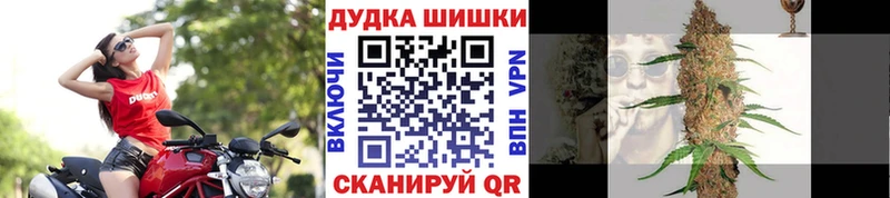Бошки Шишки гибрид  сайты даркнета телеграм  Ахтубинск 